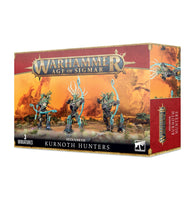Sylvaneth: Kurnoth Hunters - image